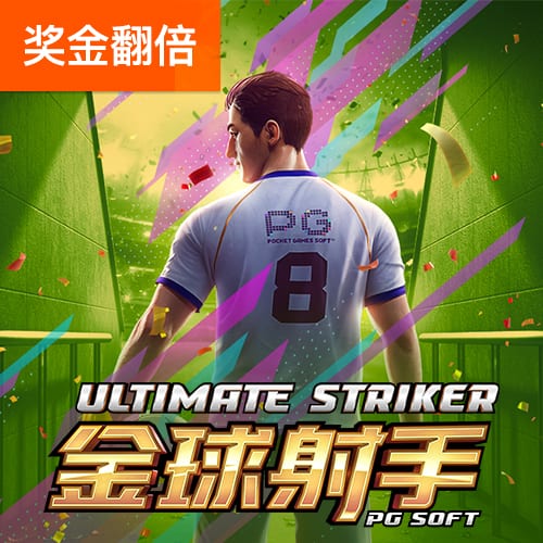 窦波先