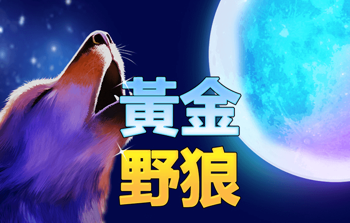 网球挑战赛